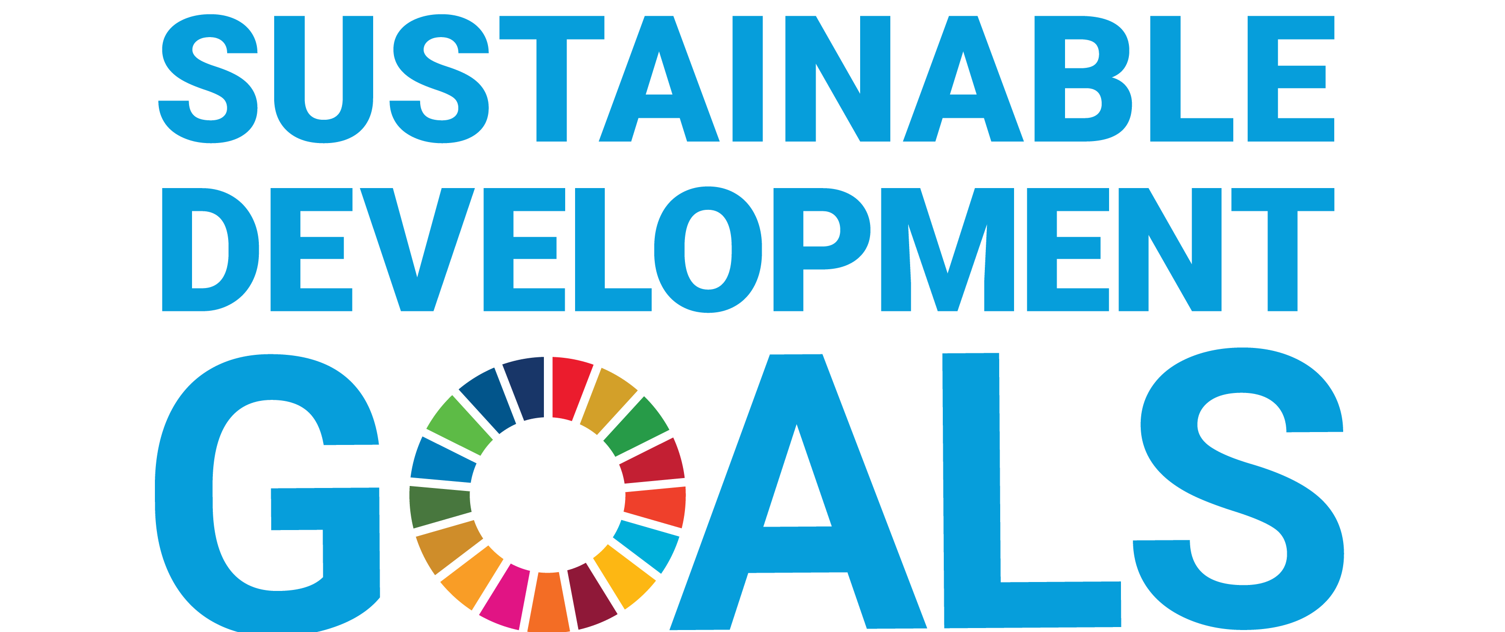  CVI supports the following Sustainable Development Goals: Sustainable cities and communities, Climate action, Life below water, Life on land, Partnerships for the goals image